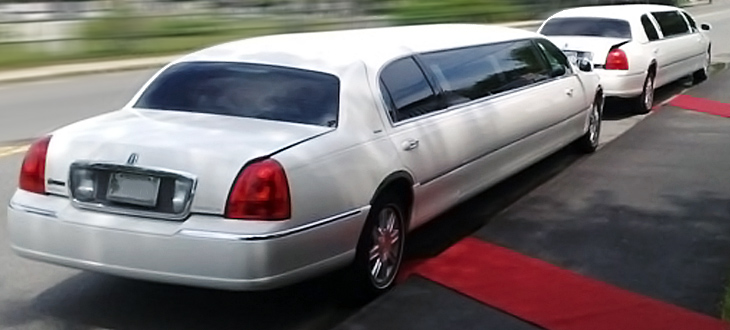 red carpets in front two white stretch limousines